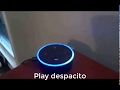 What actually happens if you tell Alexa to play "Despacito"