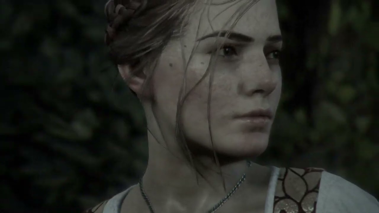 2 - L'héritage des "de Rune" (suite)