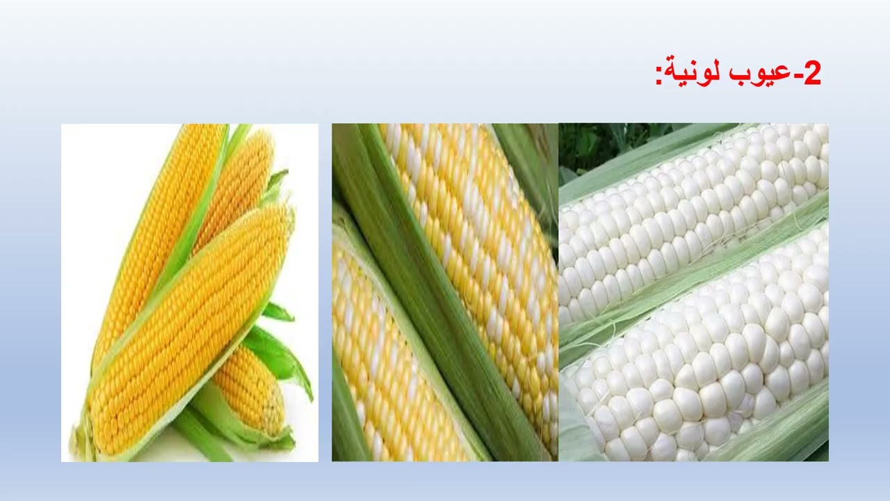 طرز الفساد في الاغذية