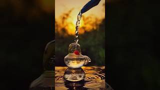 बम भोले बम भोले बम बम #love #bhakti #bholenath #bhole #shivling #mahadev #lordshiva #hindudeity #1k