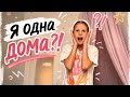 Спойлер:мама меня прибила…#видео#юмор#тренд#однадома