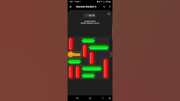 19th of August 2024 |  Mini Game for Hamster Kombat, today #hamsterkombat  #minigame