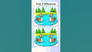 ONLY people with good eyes can find the differences!! #46