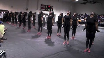 KSU| Pi Phi Chapter of Alpha Kappa Alpha Sorority, Inc. Probate: Part 3