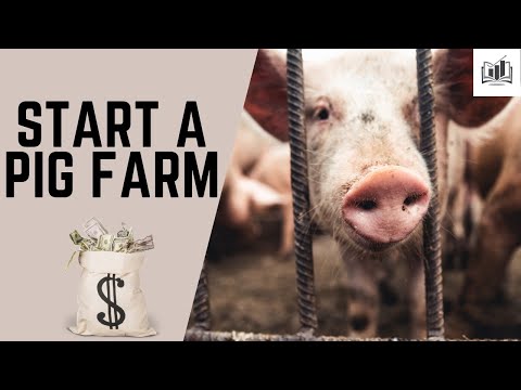 How to Start