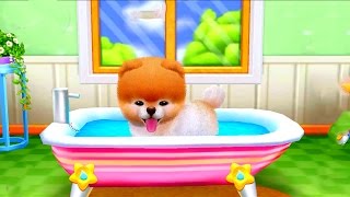 Boo - The World's Cutest Dog Gameplay - Games for Kids screenshot 3