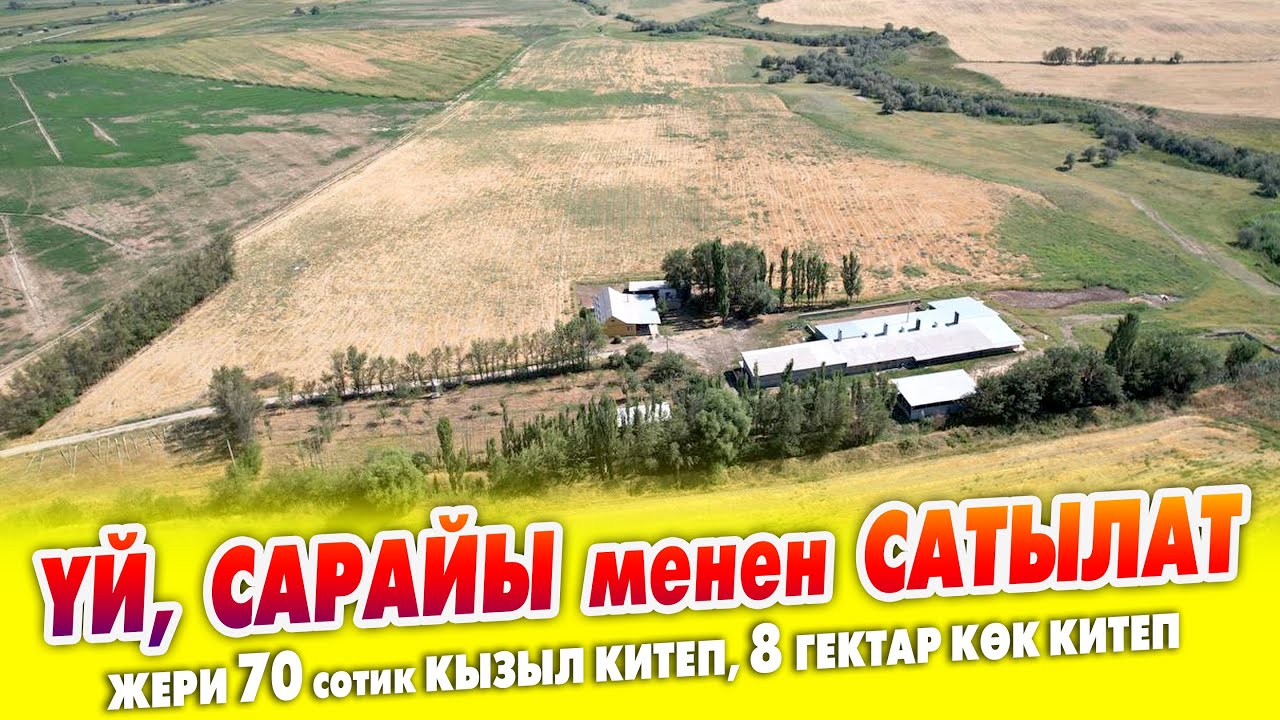 Бүт ШАРТЫ бар САРАЙ, ҮЙ, ЖЕР сатылат ~ Жеке трансформатор, суу, свет, кызыл китеп бар