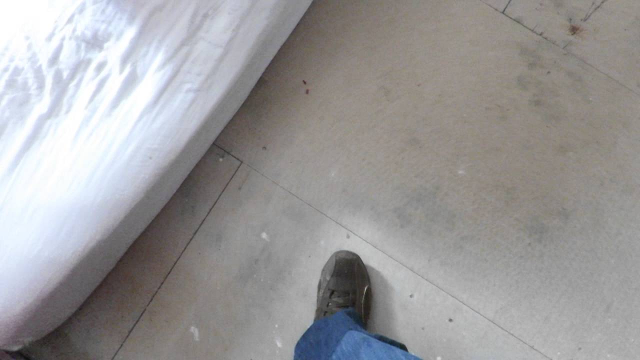 My creaky floorboards YouTube