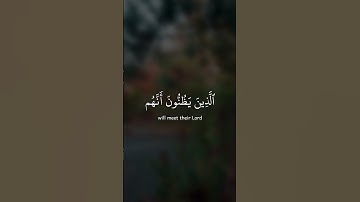 ارح سمعك🤍🎧القاري سلمان العتيبي🕊️قرءان تلاوه