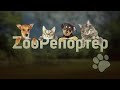 ZooРепортёр (07.10.2023)