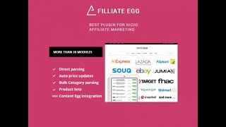 Affiliate Egg Niche Affiliate Marketing Wordpress Plugin Premium Version Free Download 100% Work
