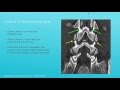 Spinal Palp Midterm X ray Lecture fall15