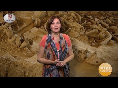 Гінцівська палеолітична стоянка - 25  років сучасних розкопок. Lioudmila Iakovleva.