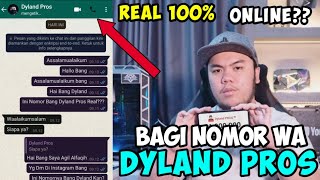 NOMOR WA DYLAND PROS ASLI 2020 ONLINE