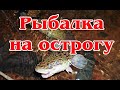 Рыбалка на  острогу. Harpoon fishing in Siberia