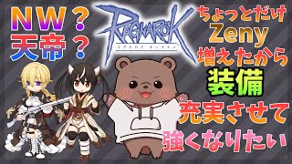 【#RO/Lif】今日は装備を考えたりいつもの日課したり【熊Vtuber/熊野ばーどん】