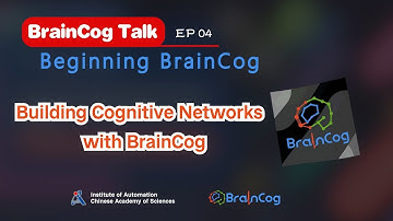 BrainCog 4. Building Cognitive Networks with BrainCog