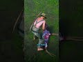 hunting in rdr2 vs gta6