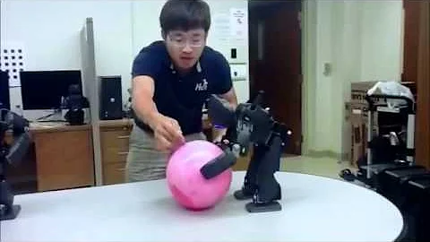 Assistive Robots