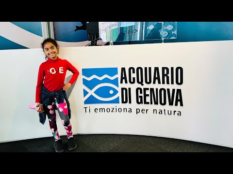 Visita Acquario di