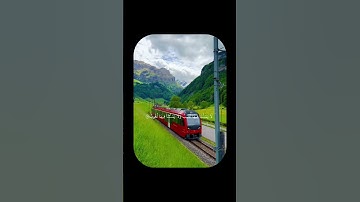 تلاوة هادئة بصوت القارئ عمر ابن ضياء الدين راحة نفسية وسكينة عميقة وسط الطبيعة #اكسبلور #قرآن_كريم