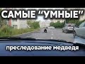 Подборка САМЫХ "УМНЫХ" водителей #284