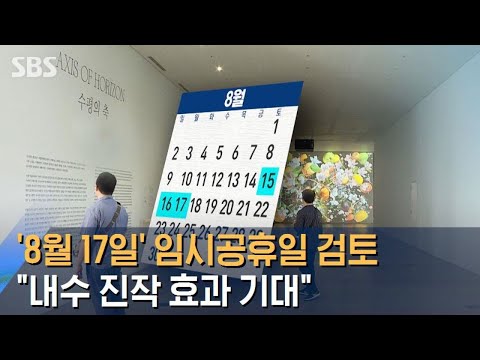 '8월 17일' 임시공휴일 검토…"내수 진작 효과 기대" / SBS