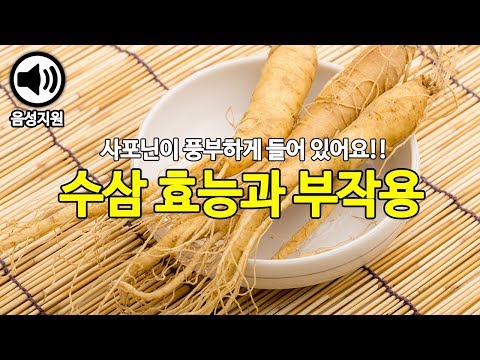 사포닌이 풍부한 수삼 효능과 부작용 [음성안내]