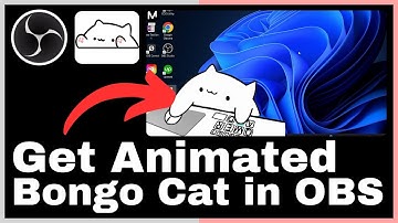 How to Get Animated Interactive Bongo Cat in OBS Studio