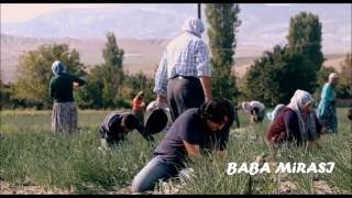 BABA MİRASI (Üç Kardeş ve Tarla Sahnesi)