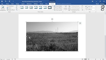 How to Make an Image Grayscale in Word