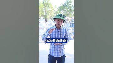 20250127   3 bước Bảo trì và chăm sóc khu lăng mộ#thieudamynghe #xuhuongtiktok #