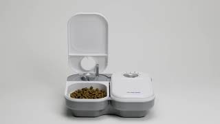 Closer Pets C200 2 Meal Automatic Pet Feeder