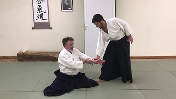 Hanmi Handachi Waza Katatedori Gyaku Hanmi Shihonage Ura