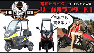 リーガル・ラプター Regal Raptor K1 電動ミニカー トライク 電動スクーター 屋根付き 走行45km リチウムイオン電池 公道 公道走行可能 配送 配達 デリバリー