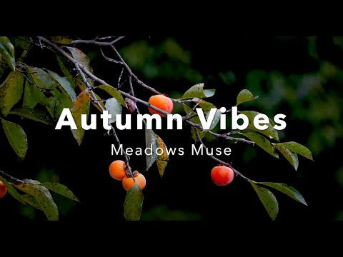 1 HOUR AUTUMN