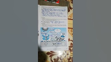 10th Water Security 💧  Journal solution of 1st chapter