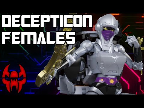 Who Is Decepticon