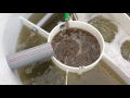 Загрузка активного ила в станцию биоочисткисточных вод Август-Эко после монтажа