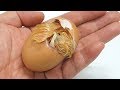 Chick hatching in my hands  do you know the egg tooth 