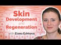 Skin development and regeneration in homeostasis and disease with elena ezhkova