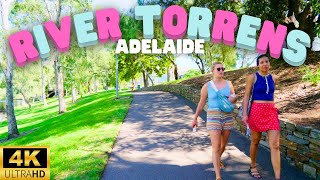 River Torrens, Adelaide [4K] | Virtual Walk Tour - 60fps Adelaide City | Australia