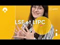 Lsf lfpc et et leurs diffrences  point pincl