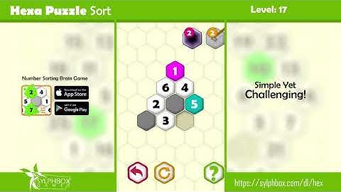 Hexa Puzzle Level 17 Challenge