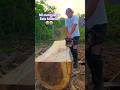 Mi motosierra esta fallando😭#woodwork #chainsaw #asmrvideo