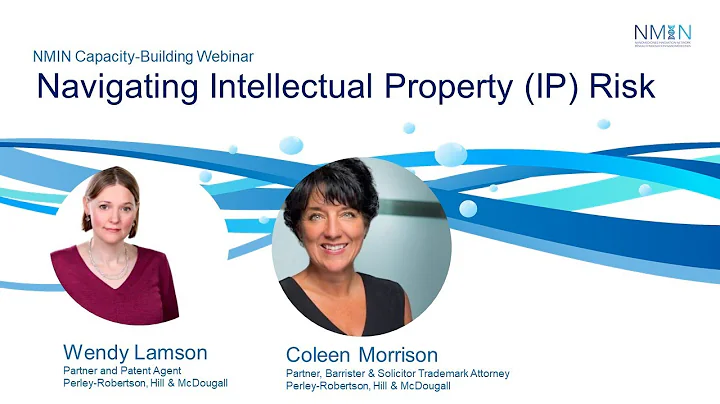 Navigating Intellectual Property (IP) Risk: webinar