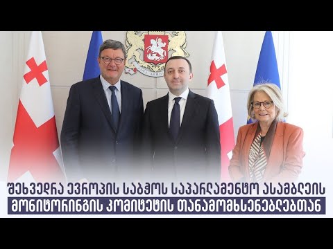 შეხვედრა ევროპის საბჭოს საპარლამენტო ასამბლეის მონიტორინგის კომიტეტის თანამომხსენებლებთან