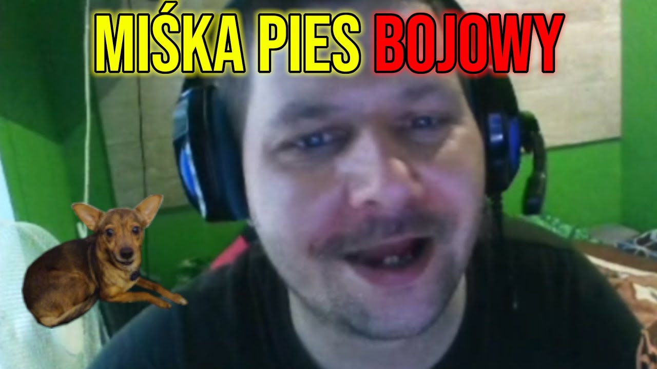 dawid-jasper-mi-ka-pies-bojowy-youtube