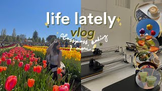 🏃‍♀️🍰🌷 life lately: i got a full-time job, trying classpass n more ! | melbourne post-uni vlog