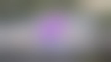 Ultimate Fails Compilation 2013    Best Fails of the Year!